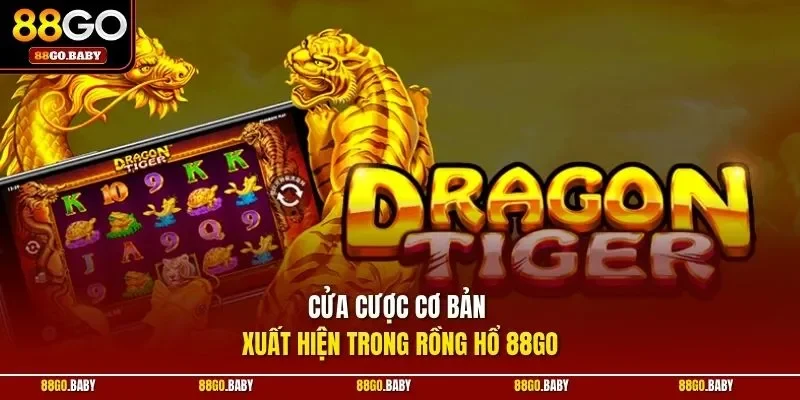 Cửa cược cơ bản xuất hiện trong rồng hổ 88GO